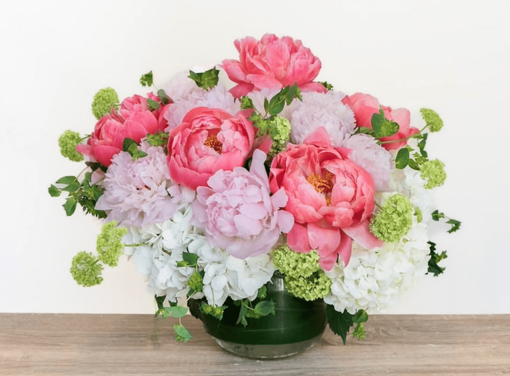 Peonies Symbolize Good Luck 